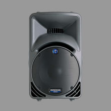 Mackie SRM450